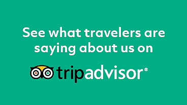 tours-tripadvisor-reviews